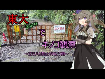 東大演習林でキノコ観察！