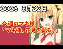 3分間　サザエタイムに、のんびりと花見について語る弦巻のマキ様　３月22日