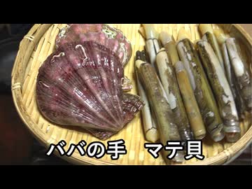 ババの手、マテガイ【長火鉢とおっさん 443】