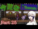 【Terraria】今更なテラリア　その25