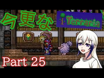 【Terraria】今更なテラリア　その25