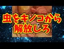 虫をキノコから解放しろ