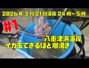 【#1 爆湧き】ホタルイカ掬いを富山県八重津浜海岸でやったら爆湧きすぎた！イカ玉できました！2026年3月21日深夜24時から早朝5時まで！