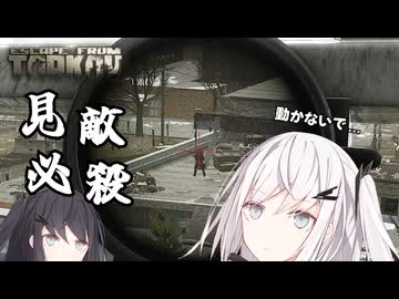 #５　決めろ！炎のクリティカル！【EFT】【タルコフ】【coefont】