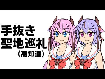 湾岸ヒメミコナイト 四国ランナー