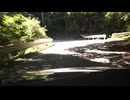 国道368号のあの区間を抜ける！？