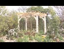 花と緑の祭典「Fukuoka Flower Show 2026」始まる