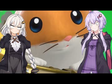 【カービィのエアライダー】ゆづきずエアライダー #29