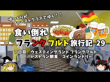 【ゆっくり】フランクフルト旅行記　29　異国のコインランドリーで四苦八苦