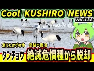 【タンチョウ絶滅危惧種から脱却】Cool　KUSHIRO　NEWS　Vo.138【釧路ニュースVOICEVOXずんだもん解説】