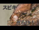 スピキ泥だらけ！！