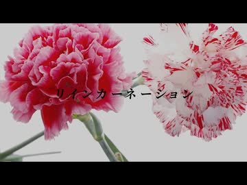 リインカーネーション feat.可不
