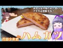 「アニメ飯」たべものがたり花田少年史のハムカツ