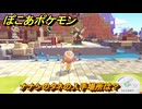 ぽこあポケモン　ナナシのタネの入手場所は？　＃３３９　【ぽこポケ】