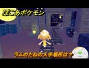 ぽこあポケモン　ラムのたねの入手場所は？　＃３４２　【ぽこポケ】