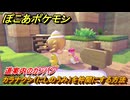ぽこあポケモン　カラナクシ（にしのうみ）を仲間にする方法　道案内のカンバン　＃３４７　【ぽこポケ】