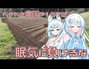 2026年3月22日　農作業日誌P1672　平穏な日常が戻って来たけど、次の戦いへ向けて頑張らなきゃ