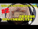 【#2 爆湧き】ホタルイカ掬いを富山県八重津浜海岸でやったら爆湧きすぎた！2026年3月21日深夜24時から早朝5時まで！