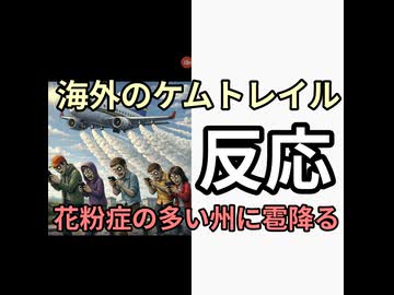 アメリカ人のケムトレイル反応　アメリカでも花粉症の多い州にでかい雹が降ってた