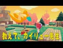 【ぽこあポケモン】＃９　キラキラうきしまの町