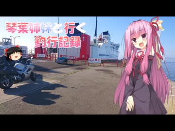 琴葉姉妹と行く釣行記録（車載編part36 88）