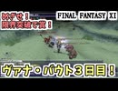 【FF11】ヴァナ・バウト３日目！箱開け名人！闇への抵抗！ミーブル・バローズ！ウォンテッド！ザ・出品！