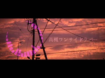 【歌ってみた】高槻ワンサイドラバー/九原理