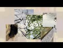 AromA (Official Music Video)