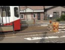 関東私鉄の七不思議　馬車軌間って何？