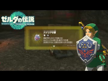 【ゼルダの伝説 ティアーズ オブ ザ キングダム】女神の剣は王国と共に泣く#54
