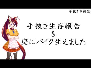 【手抜き車載祭】生存報告