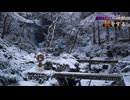 【雪景色】日帰りで、氷瀑を見たい【ゆっくり旅動画】