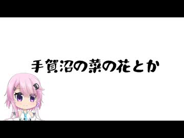 手賀沼の菜の花とか【手抜き車載祭】
