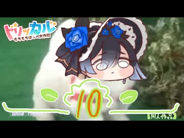 愛犬ロボ　｢ブランセ｣