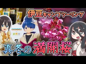 真冬の伊豆一周キャンプツーリング - 真冬の桜とゆるキャン聖地巡礼 -【VOICEVOX車載】
