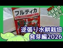 「発芽編2026」逆張り水耕栽培研究室rep.18