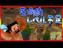 【マイクラRPG】修行が足りませんでした...。【ソウルドリフト】＃2