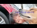 【かなたさんの好感度爆上がり動画】猫、犬、馬と戯れる『かなたさん』