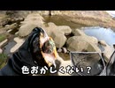 飼育放棄ダメ！ゼッタイ！