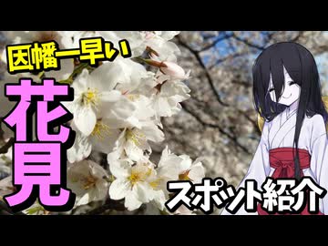 【中国うさぎの因幡見聞録】#15_おすすめ花見スポット 旧美歎水源地/大岩駅/袋川（鳥取県鳥取市）
