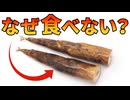 欧米で爆増する竹(タケノコ)が食べられていない理由【生物解説】