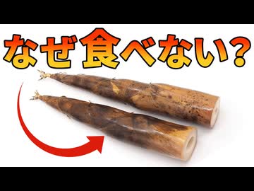 欧米で爆増する竹(タケノコ)が食べられていない理由【生物解説】