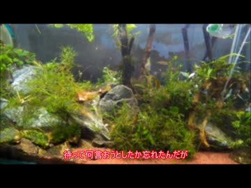 [ゆっくり]GoPro君が勝手に動画作ってたから実況する