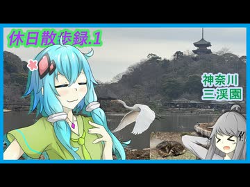 【休日散歩録.1】神奈川の梅が凄い元別荘、三渓園を歩く【結月ゆかり】