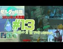 [tk13]ゼルダの伝説ティアーズオブザキングダム実況Part13 ドレファン王と水の架け橋