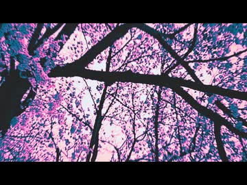 まろうど - 重音テトSV