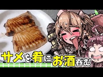 サメを肴に酒飲んで気絶ロボ。【ナースロボ タイプＴ】