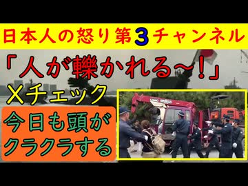 【辺野古でダンプに滑り込み】Xのタイムラインを拾ってみたら今日も斬新な話題があふれていた　#辺野古