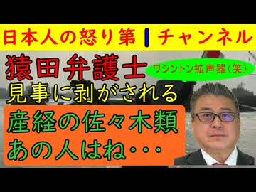 【猿田弁護士が豪快に剥がされる】デイリーWILLで佐々木類が「アメリカ時代にワシントン拡声器と彼女は言われていた」と驚愕の過去を暴露して世の中が騒然としてしまう
