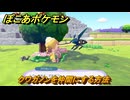 ぽこあポケモン　クワガノンを仲間にする方法　木かげの花畑（まっさらな街）　＃３９６　【ぽこポケ】
